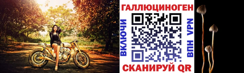 Псилоцибиновые грибы Cubensis  Удачный 